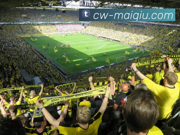 买球赛事预测平台生态图